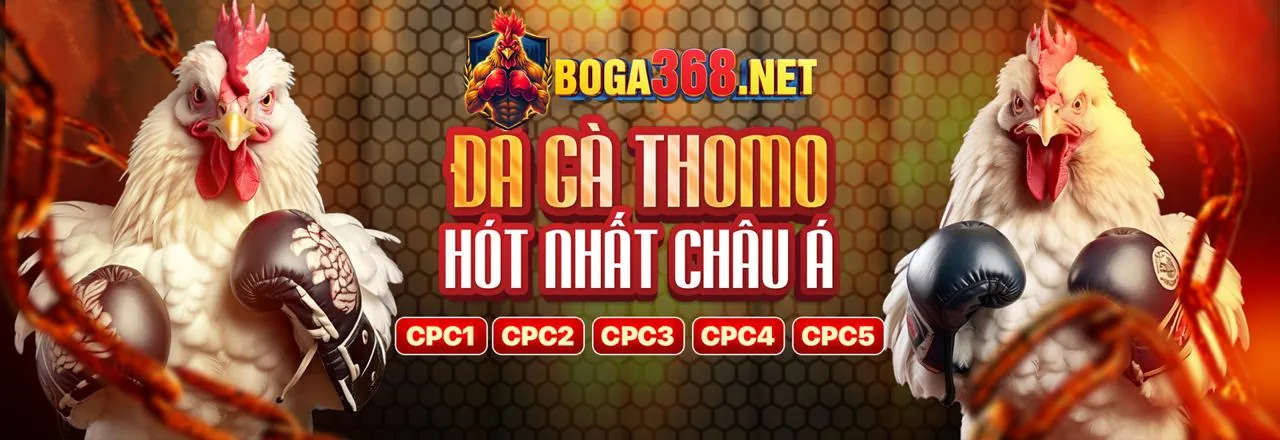 Đá Gà Trực Tuyến nh88 nổ hũ 2026